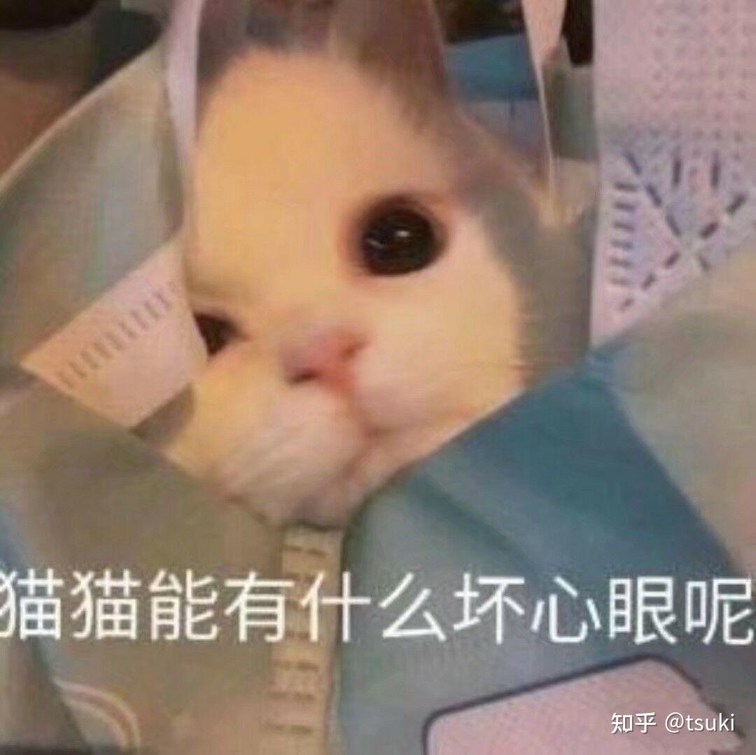 什么样的男生不受女生喜欢 v2-45d5cdacad1d3f4b5def109e2ca00ded_r.jpg