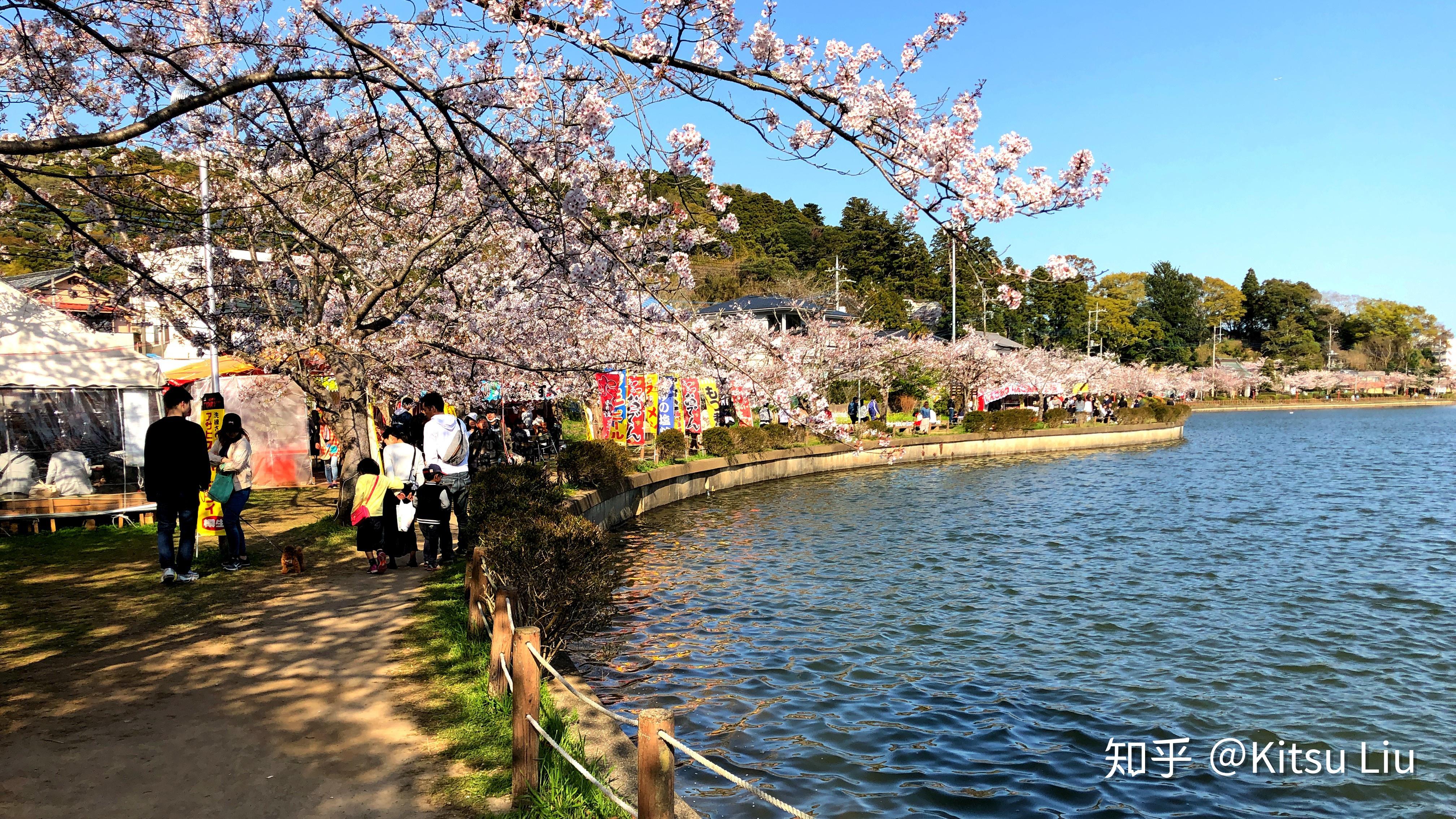 你所不知道的東京都近郊八鶴湖