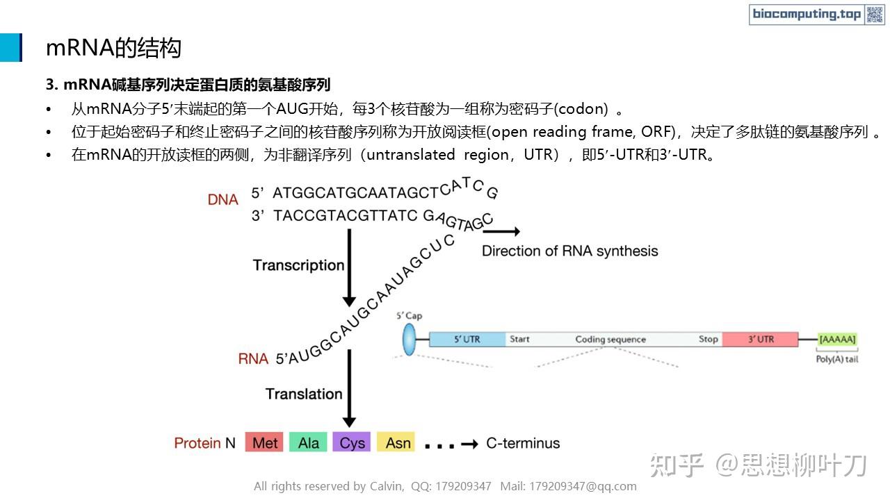AI+生物计算基础 - 4. RNA的结构与功能 - 知乎