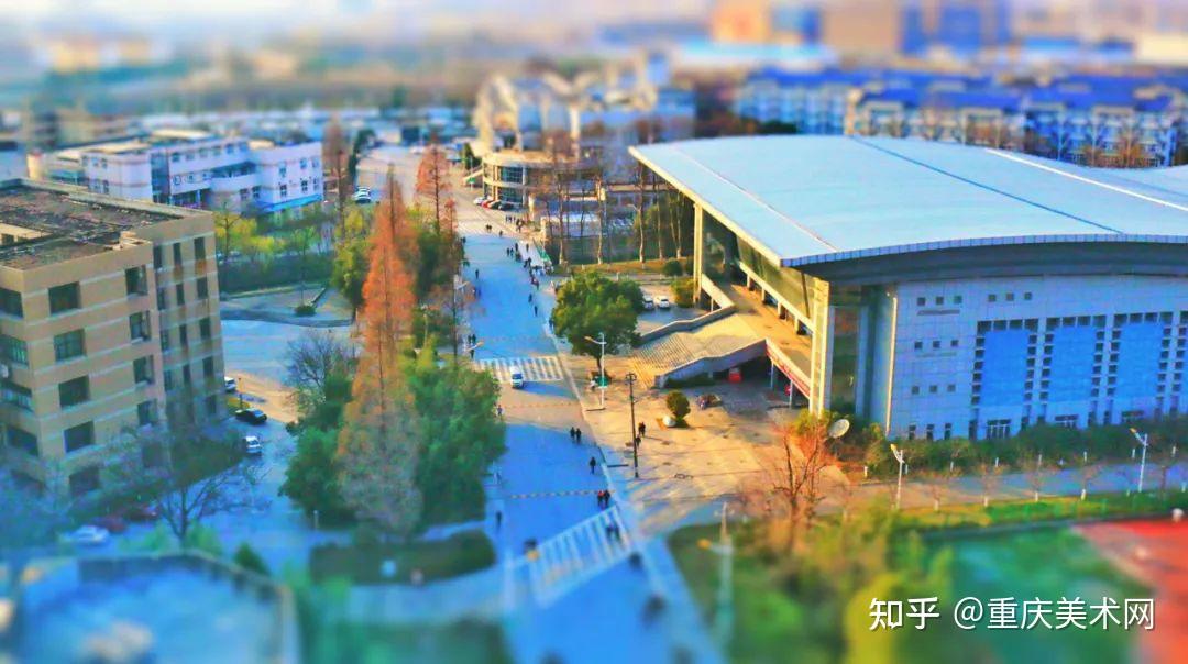 北京林业大学,西北农林科技大学,东北林业大学,四川农业大学,东北农业