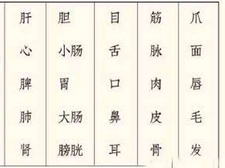 健康的女人最美丽 知乎