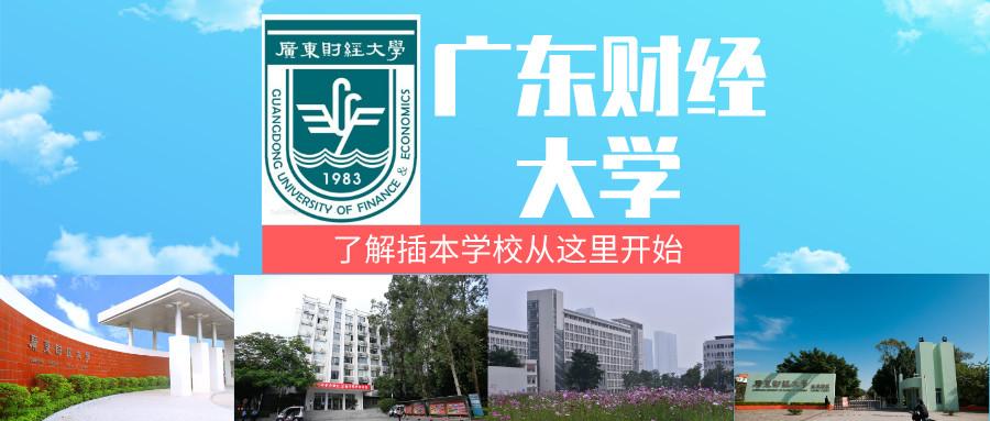 2020年广东财经大学专插本招生解读