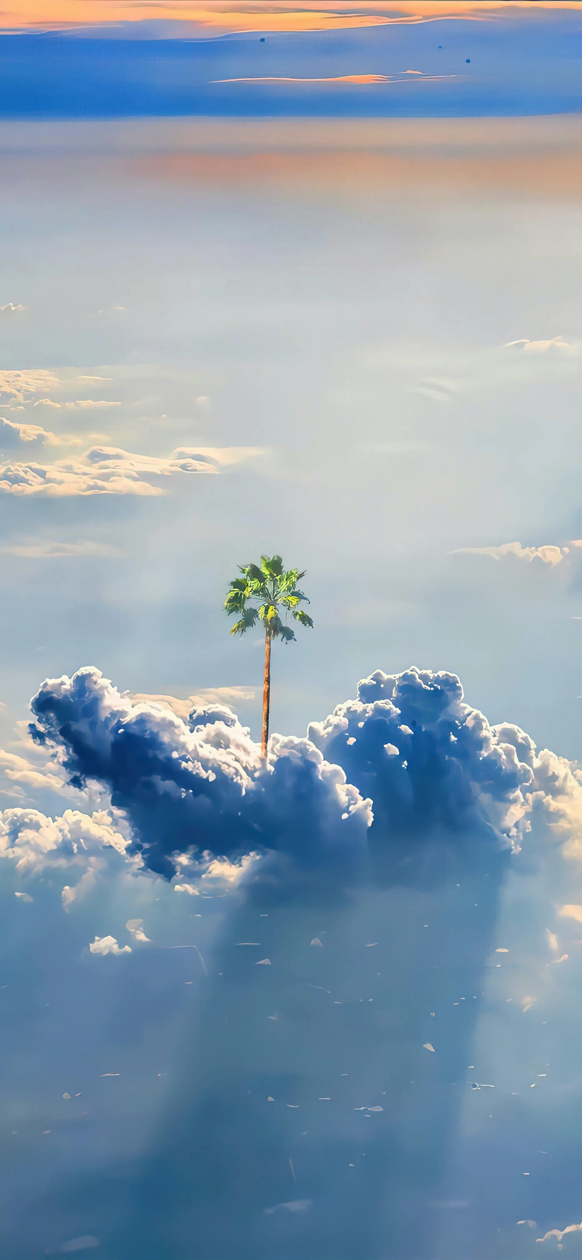 唯美风景系列 - 知乎