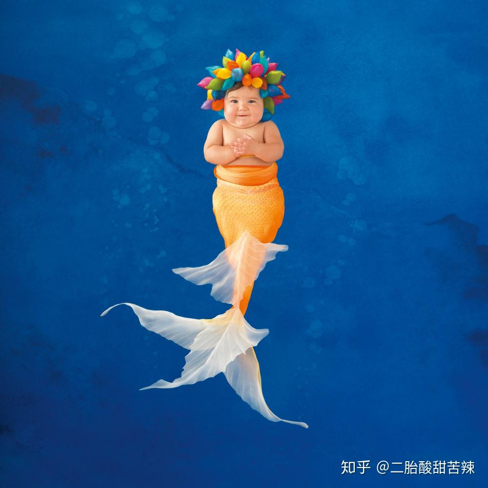 萌化了来看歪果女摄影师镜头中的海底小精灵炎炎夏日送清凉