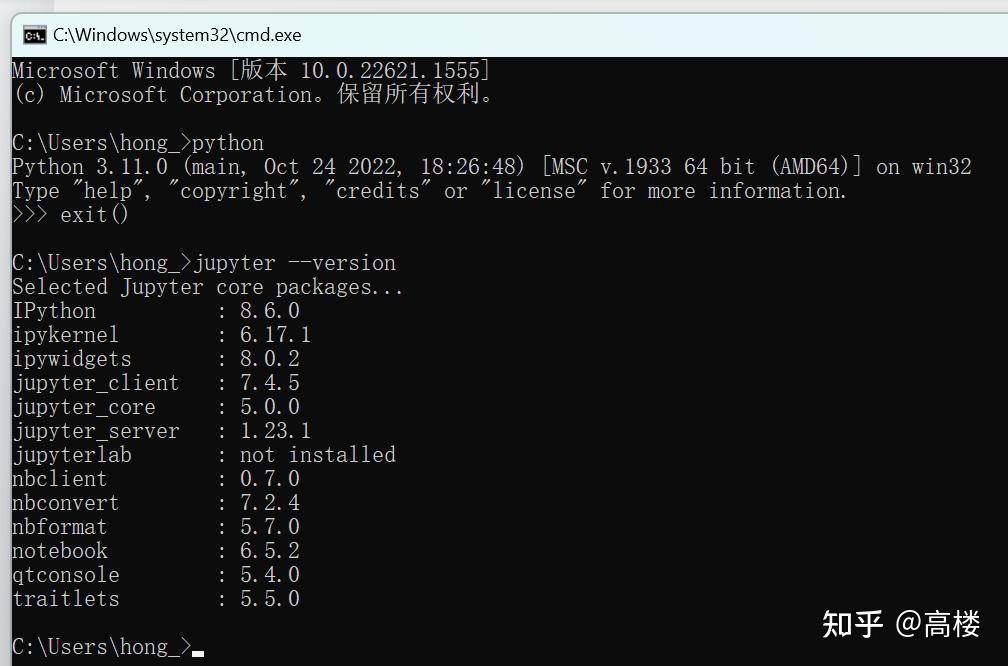  pip jupyter lab 