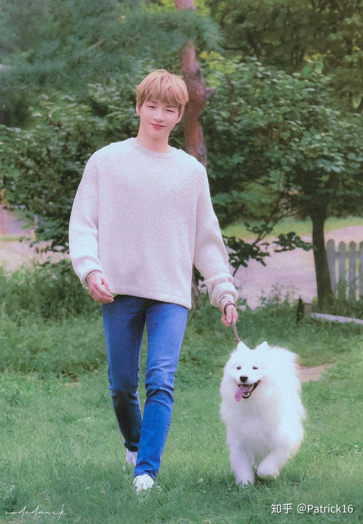 姜丹尼尔为什么长得这么像大狗狗?