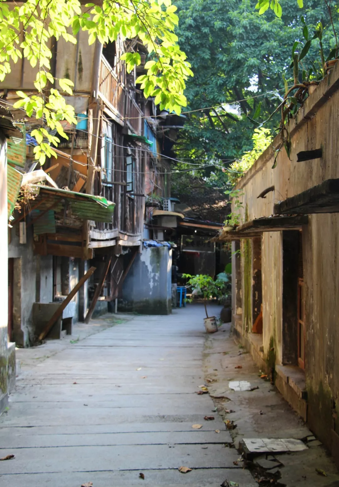 细数山城重庆不可错过的网红拍照圣地 - 知乎