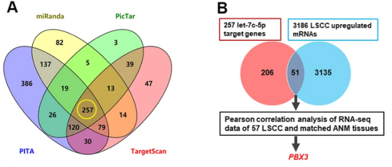 转录调控专题 | 概念篇：转录组学介绍及应用 - 知乎
