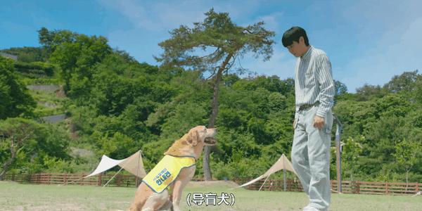 《比天堂还美丽》高能剧情神设定,又一部年度爆款
