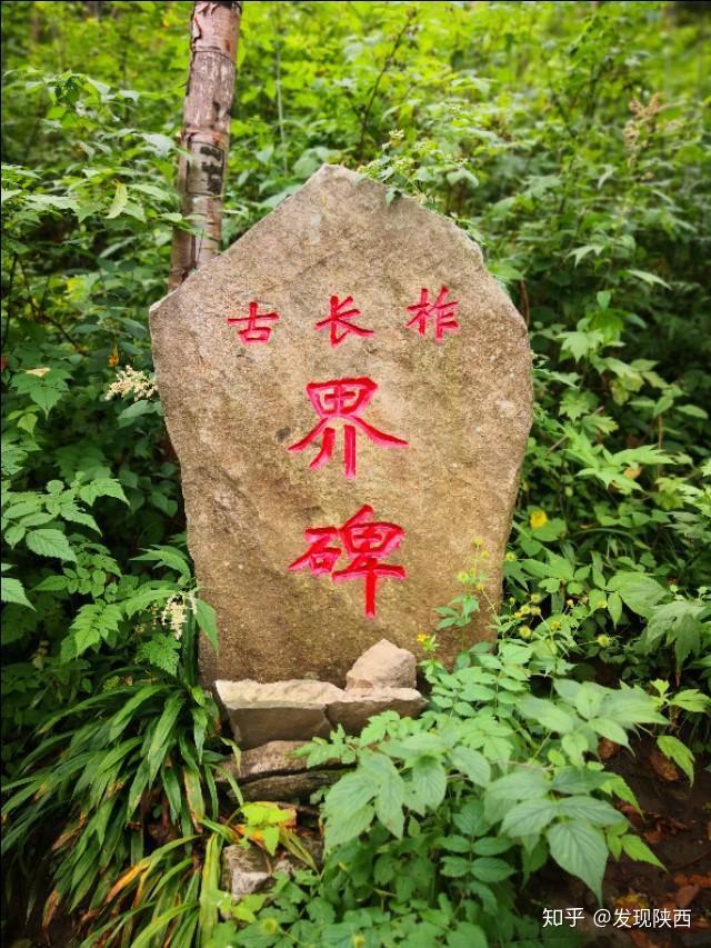 秦岭—淮河是中国地理上最重要的南北分界线.