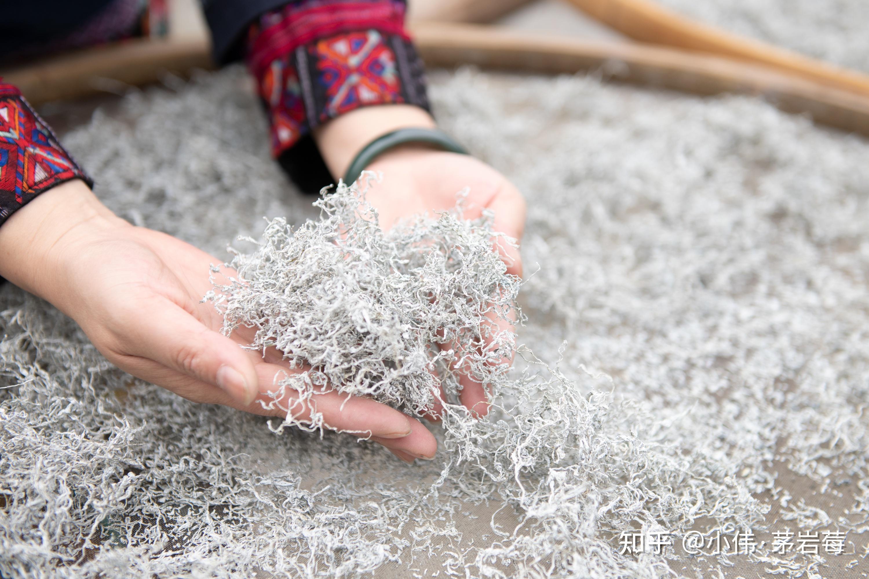 茅岩莓茶怎么泡效果好需要洗茶吗