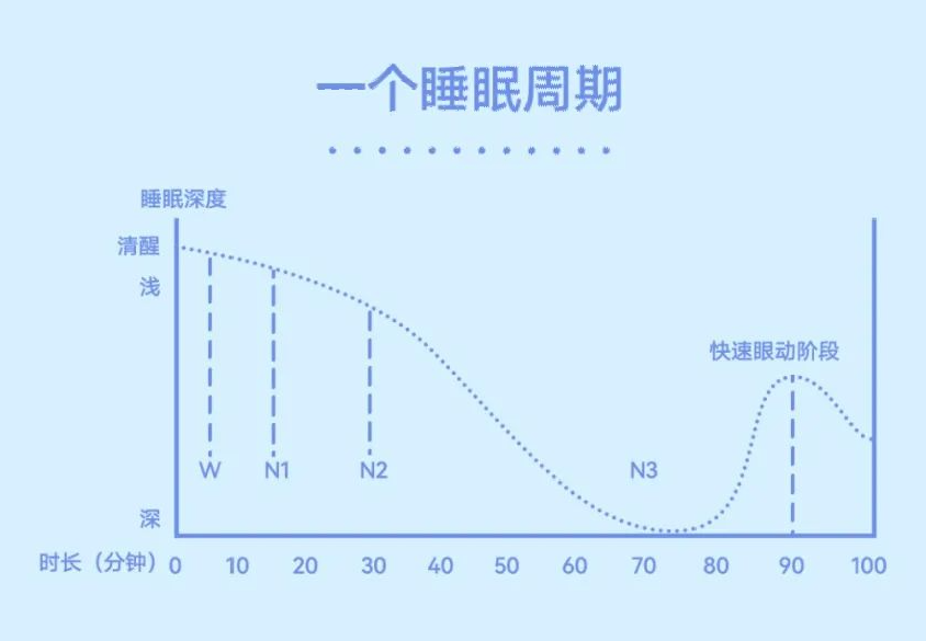 每个周期会历经90