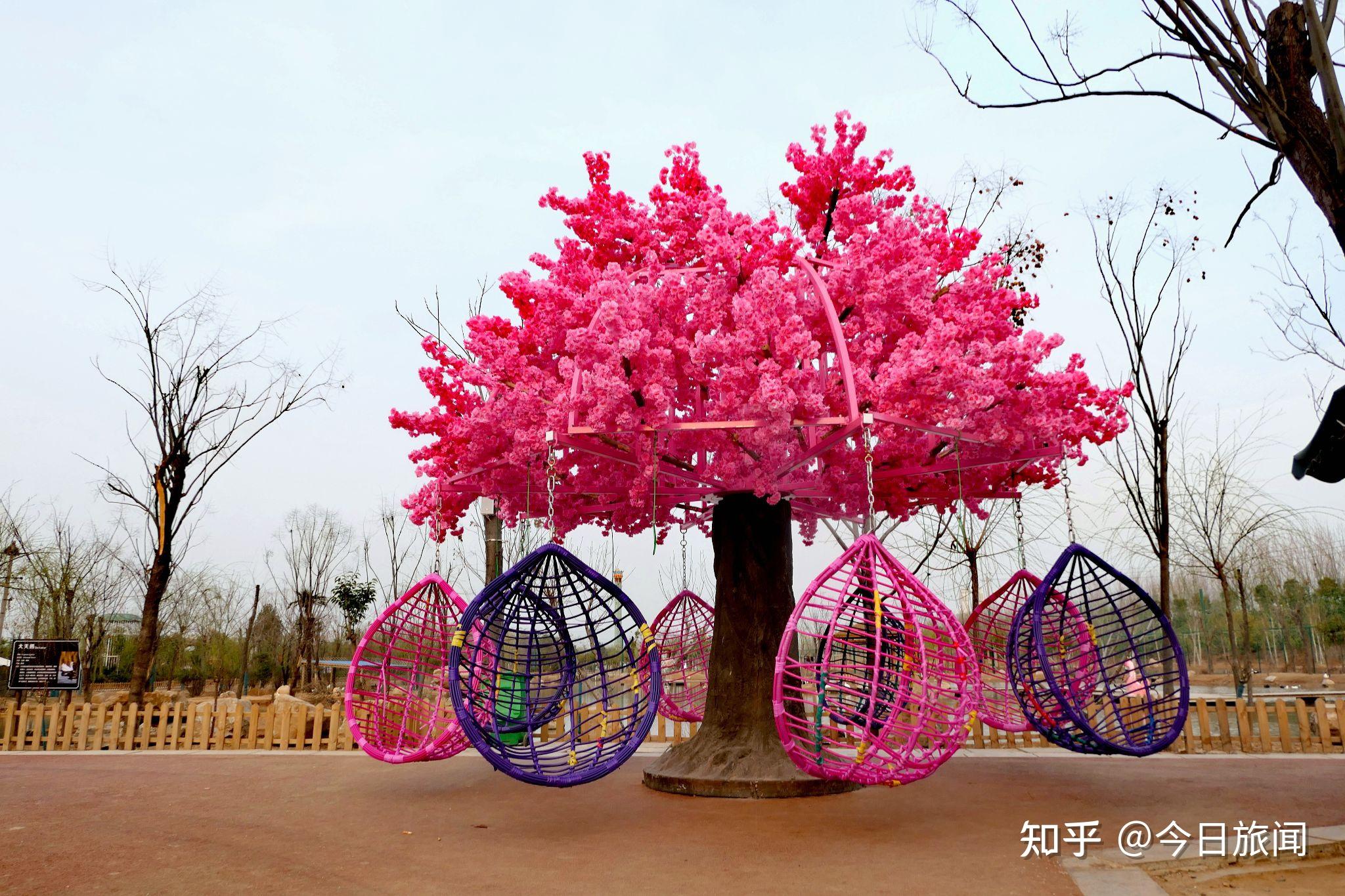 伊河湿地游园动物园内的"网红秋千"和进门口内侧的观景台.