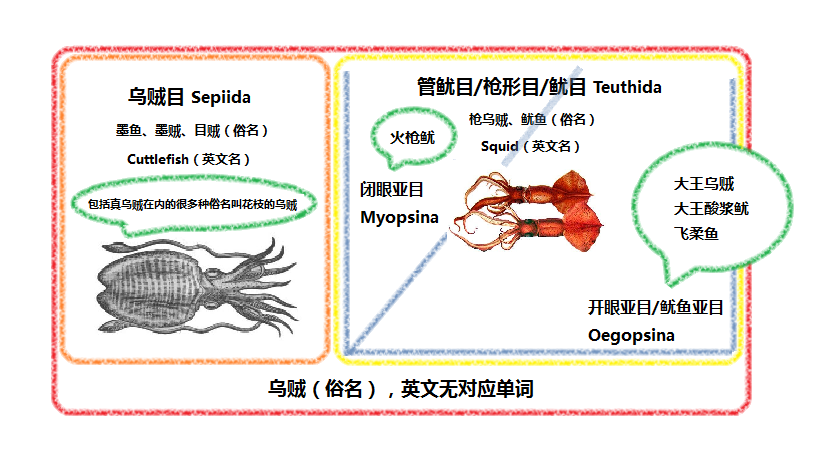 深海里的