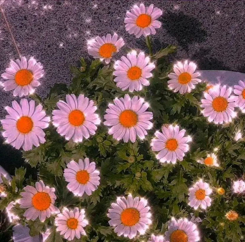 v2-4686a033e66355ff0891a5d5409e418d_r.jpg