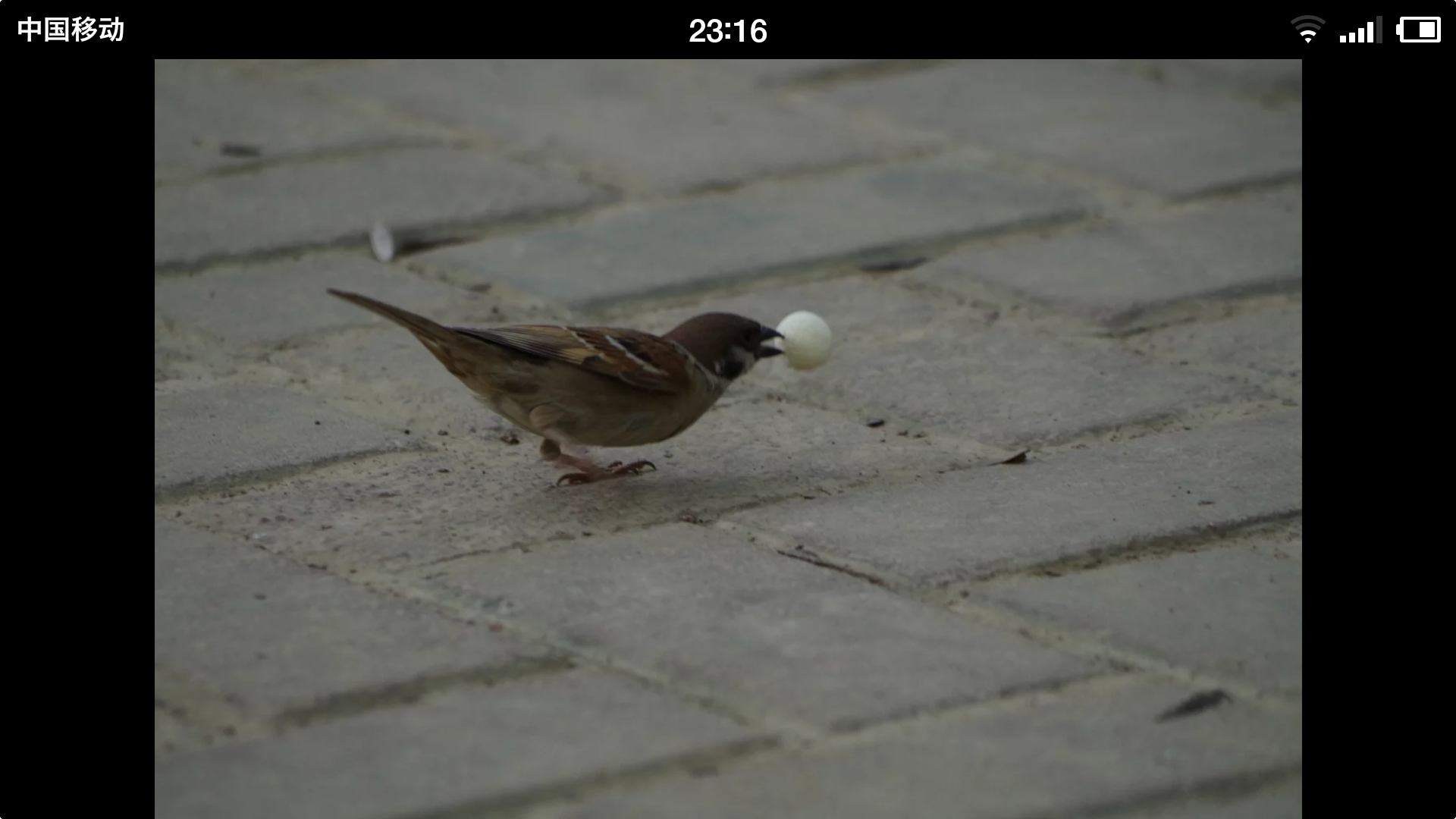 请问宾得k3该配什么镜头拍星空?还是说一定要