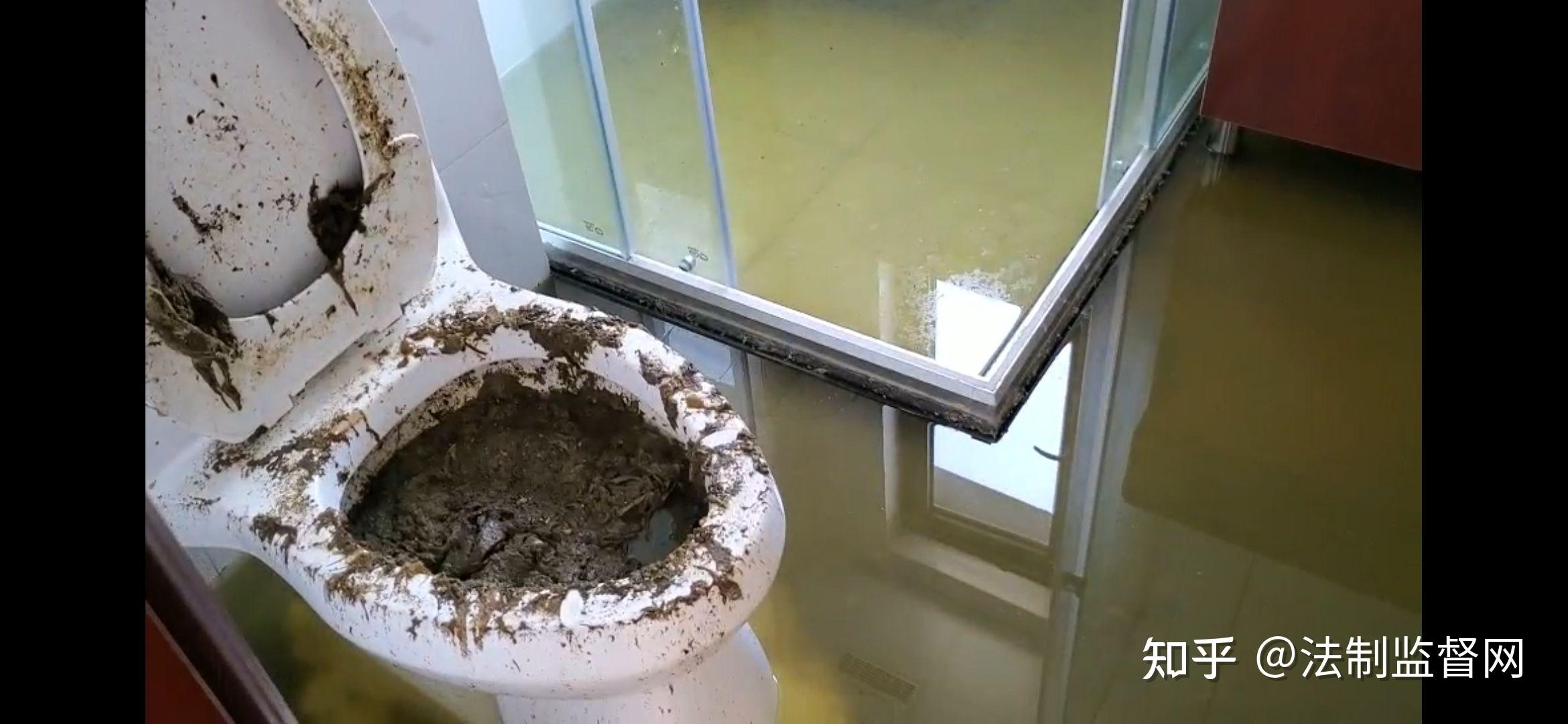 商丘市恒大翡翠华庭一业主马桶大规模反水物业不管不问遭举报