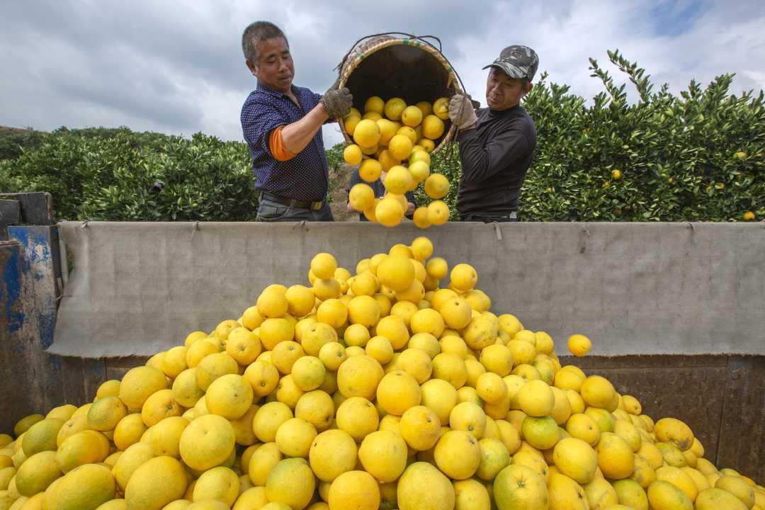 浙江常山两山银行成了金钥匙