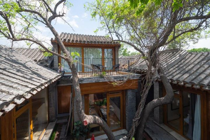 老北京地道玩法跟着杨紫从前门大栅栏穿过胡同小巷一路逛逛吃吃