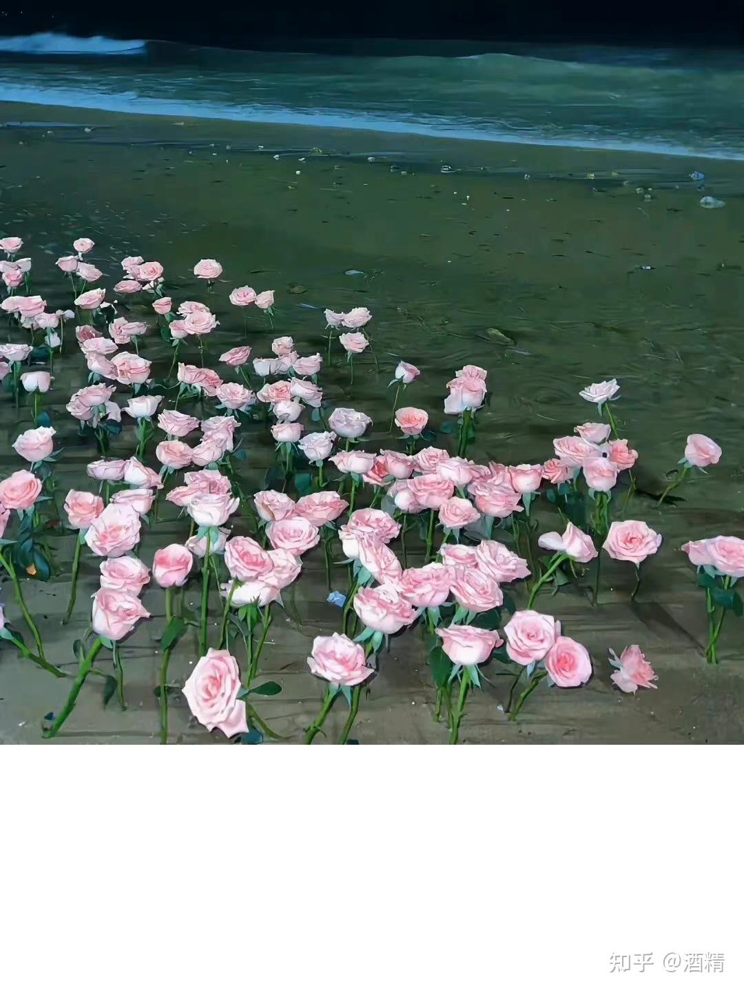 2023-1-17|今天更新一组好看的微信背景图 - 知乎