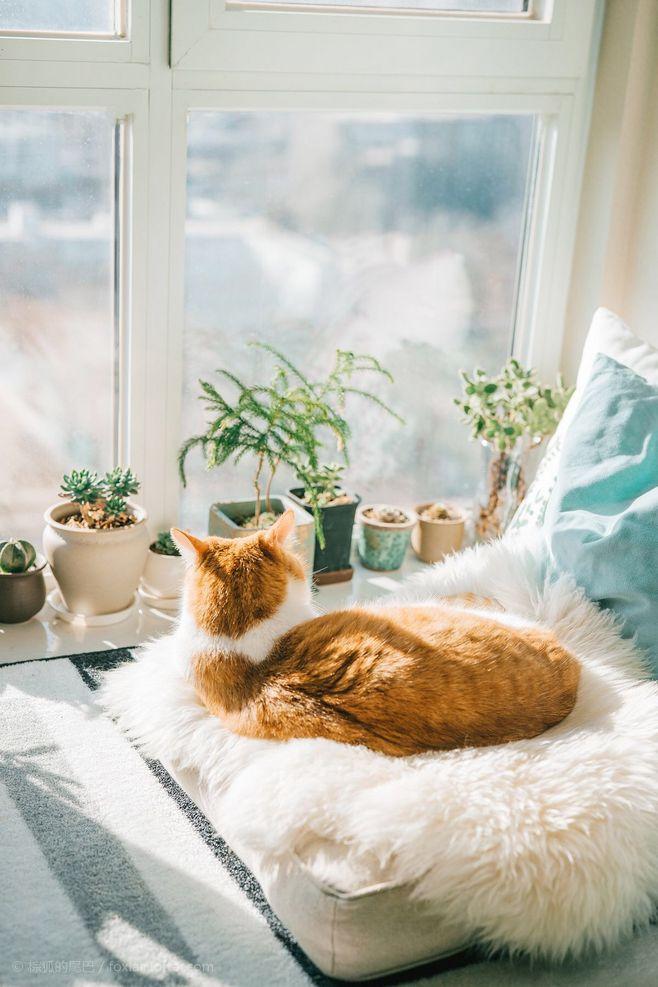 v2-46c68cbfbfbea993441b5a5fbc3c9285_1200x500.jpg