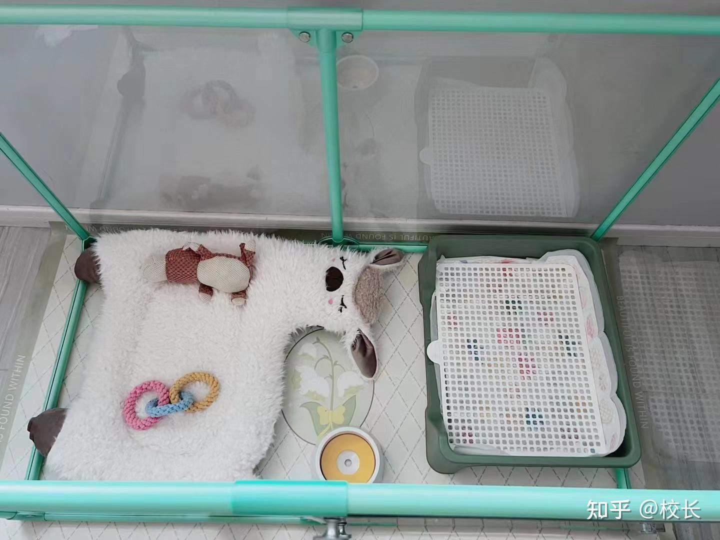 常见的宠物笼有哪些, 用宠物笼有什么好处 - 知乎