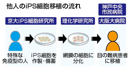 Ips细胞 知乎
