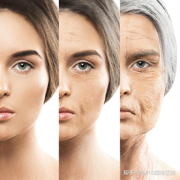 你认为的最佳抗衰方式是什么? - 知乎
