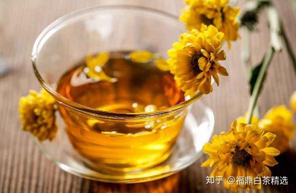 夏天喝什么茶叶比较好 v2-46de5456ce745841a2fe133ee4b09ffc_r.jpg