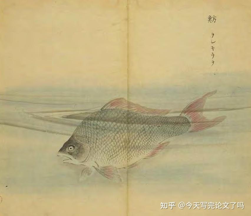 2个月读完诗经day2桃夭汝坟