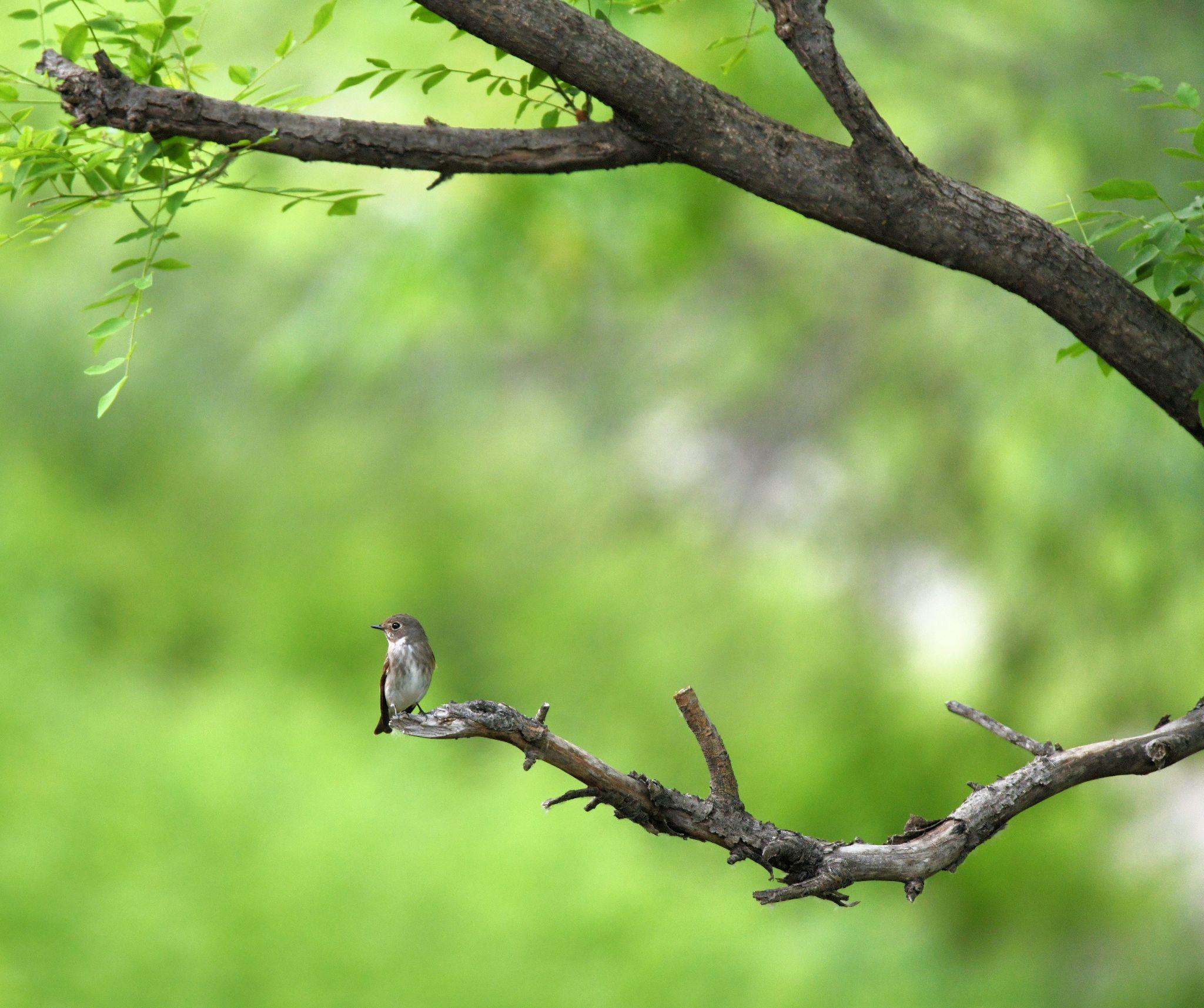 随拍随忆 - 知乎