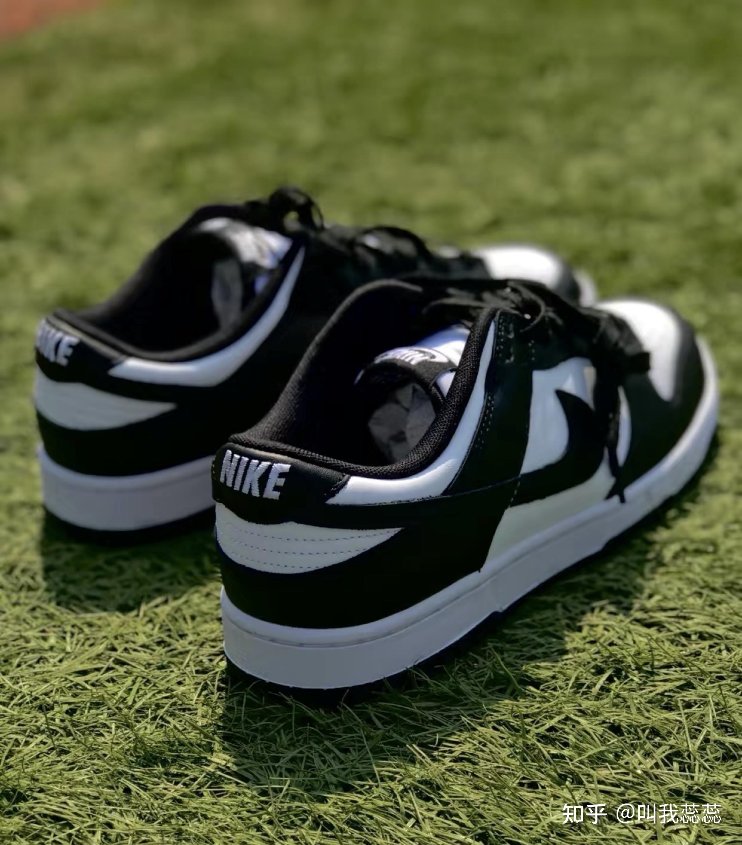 新入的dunk熊猫,pt入的,大家看看怎么样 - 知乎