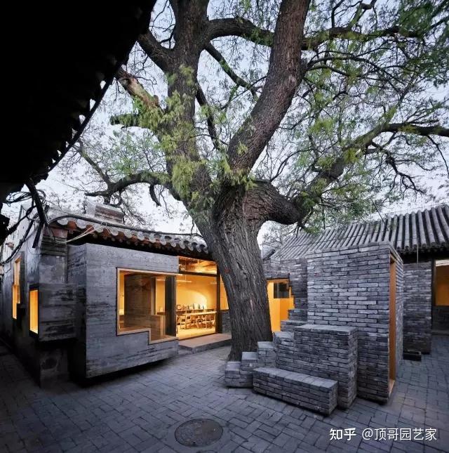 大树底下好乘凉!有了院子,最好在院子里种一棵庭荫树 - 知乎