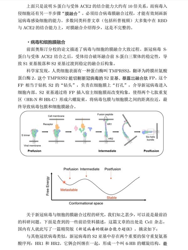 新冠病毒感染机理图解图片