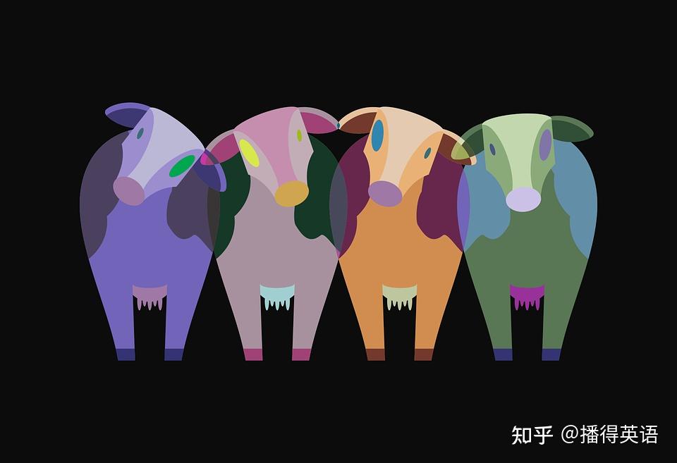 是heifer,小牛或牛犊叫calf,小阉牛为bullock或steer,水牛是buffalo