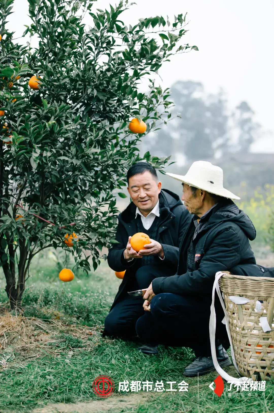 杨宇饺子图片