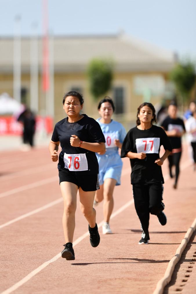 新疆政法学院在川招生代码