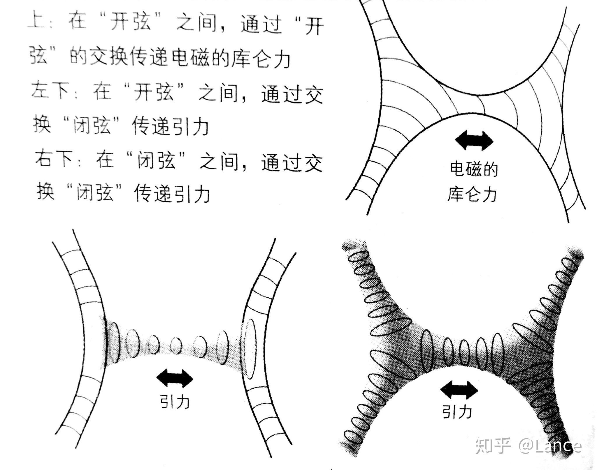 弦理论已死图片