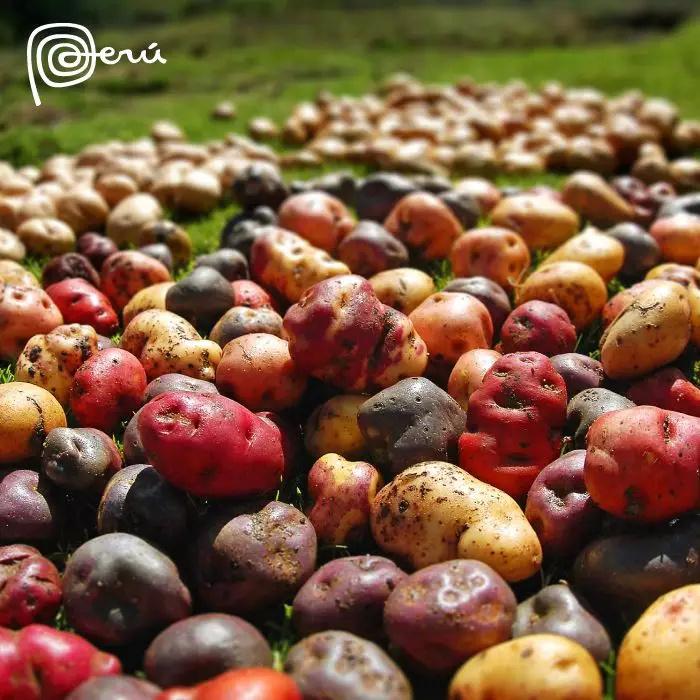 上下五千年,秘鲁居然是地球另一端的文明古国?