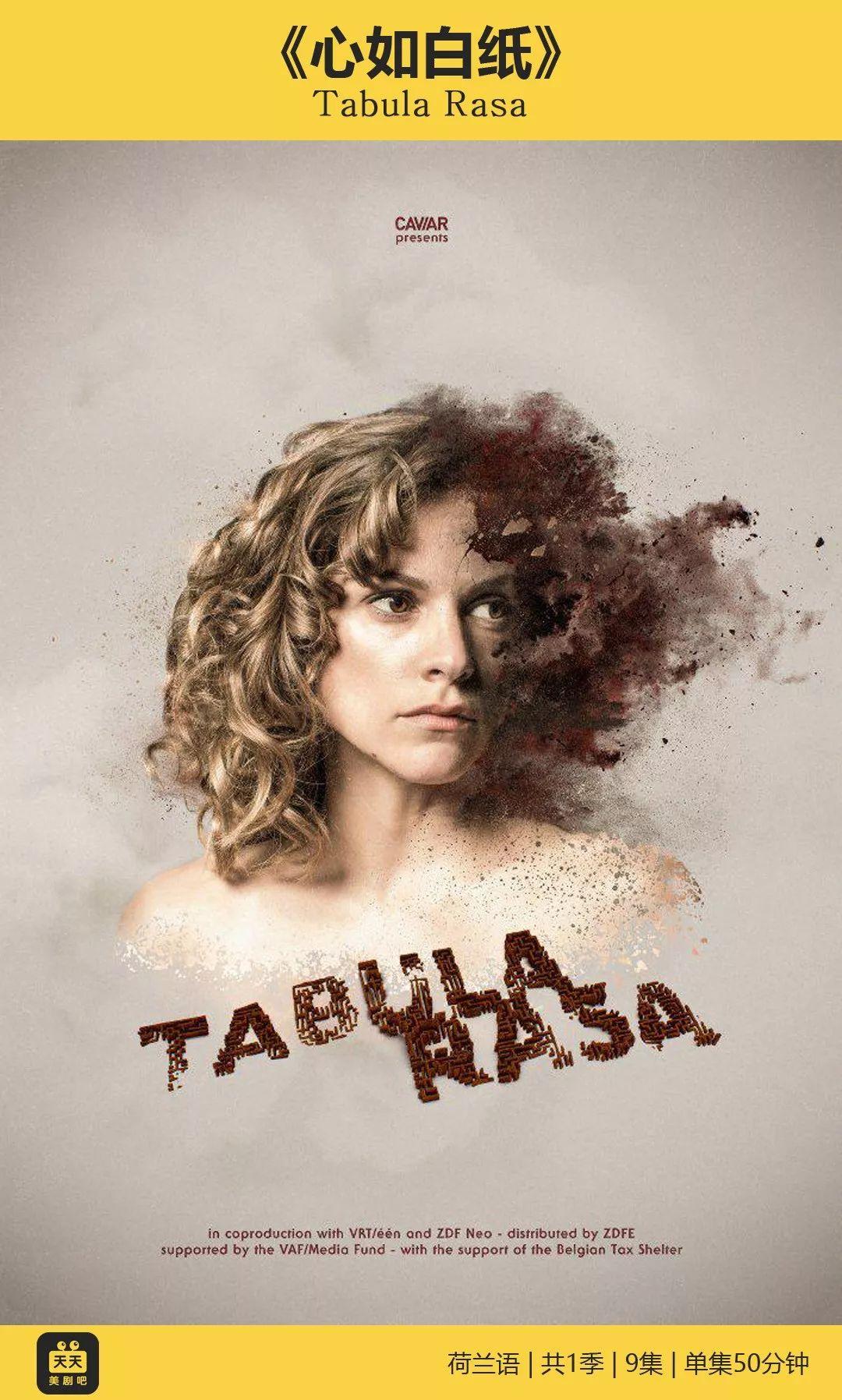 一口气看完,简直是太荡气回肠了又挖到了一部十分优秀的比利时电视剧