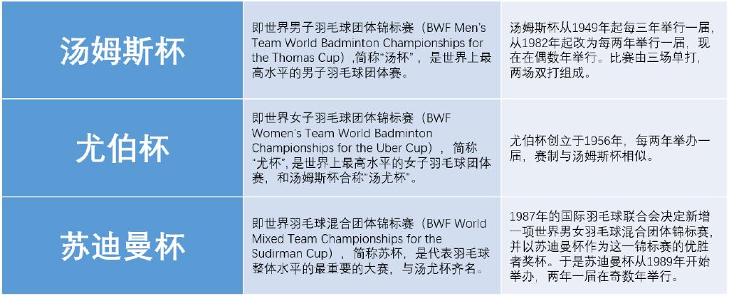 赛况分析与战术解读同步呈现