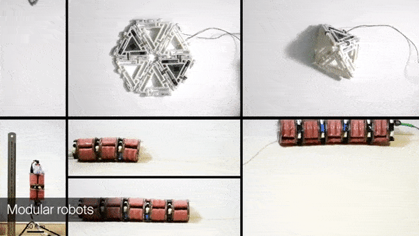 600_338gif 动态图 动图