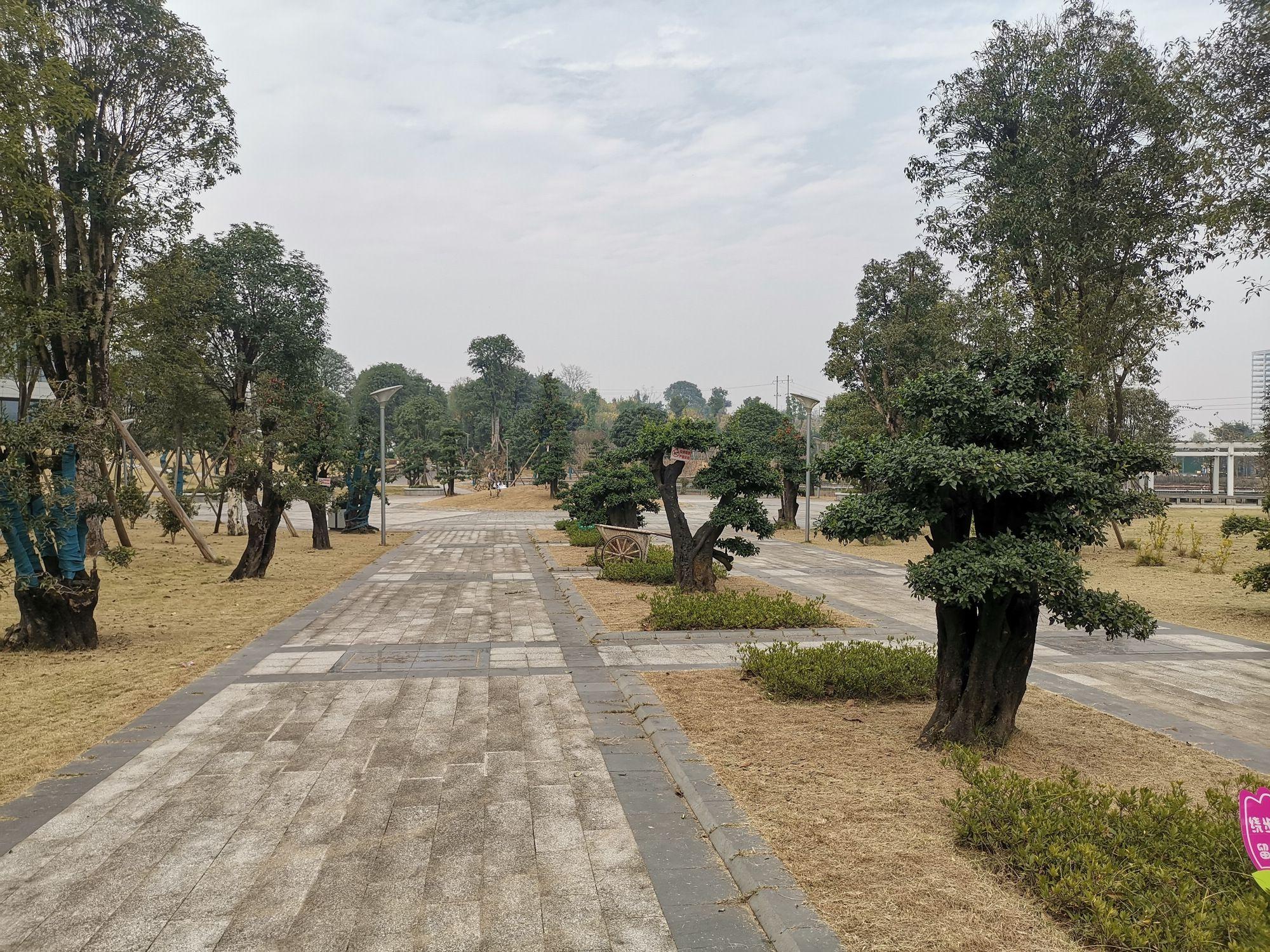 北碚可憐小公園面積不大左右兩半懸殊太大感覺老闆沒錢