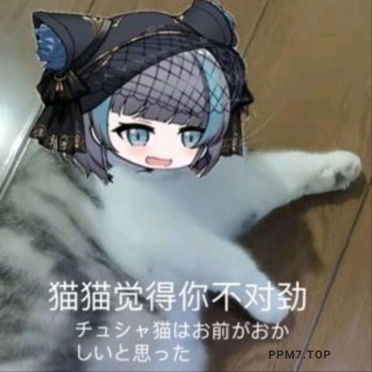 表情包:柴郡猫咪表情包