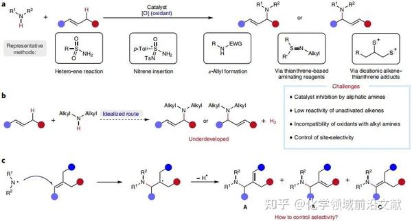 武汉大学雷爱文/戚孝天团队Nature Catalysis：位点选择性胺化合成三级烷基烯丙胺 - 知乎