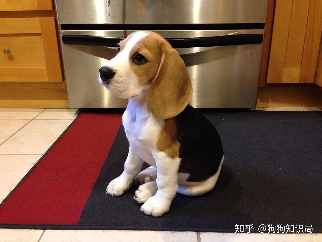 知乎