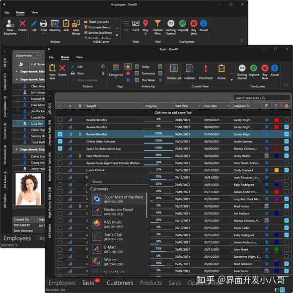  devexpress wpf v22 2 windows 11 