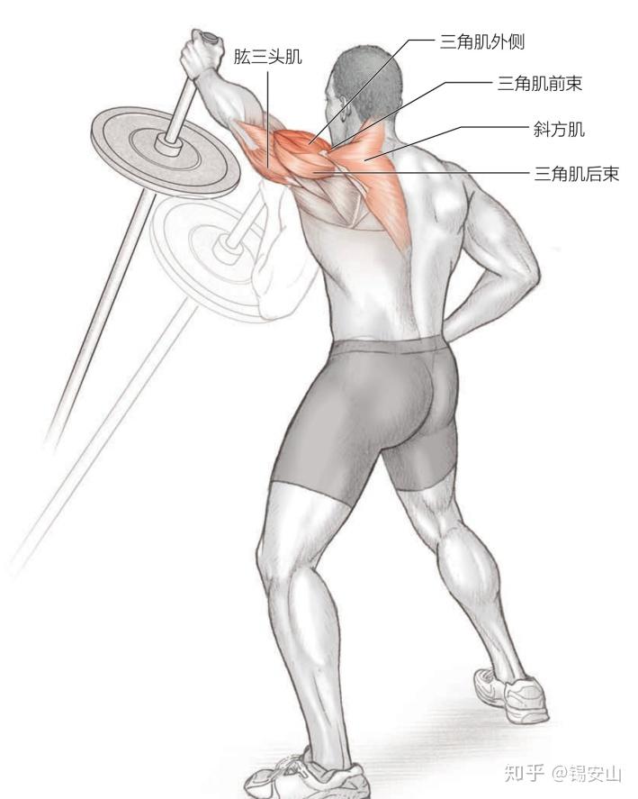 冈上肌训练动作图片图片