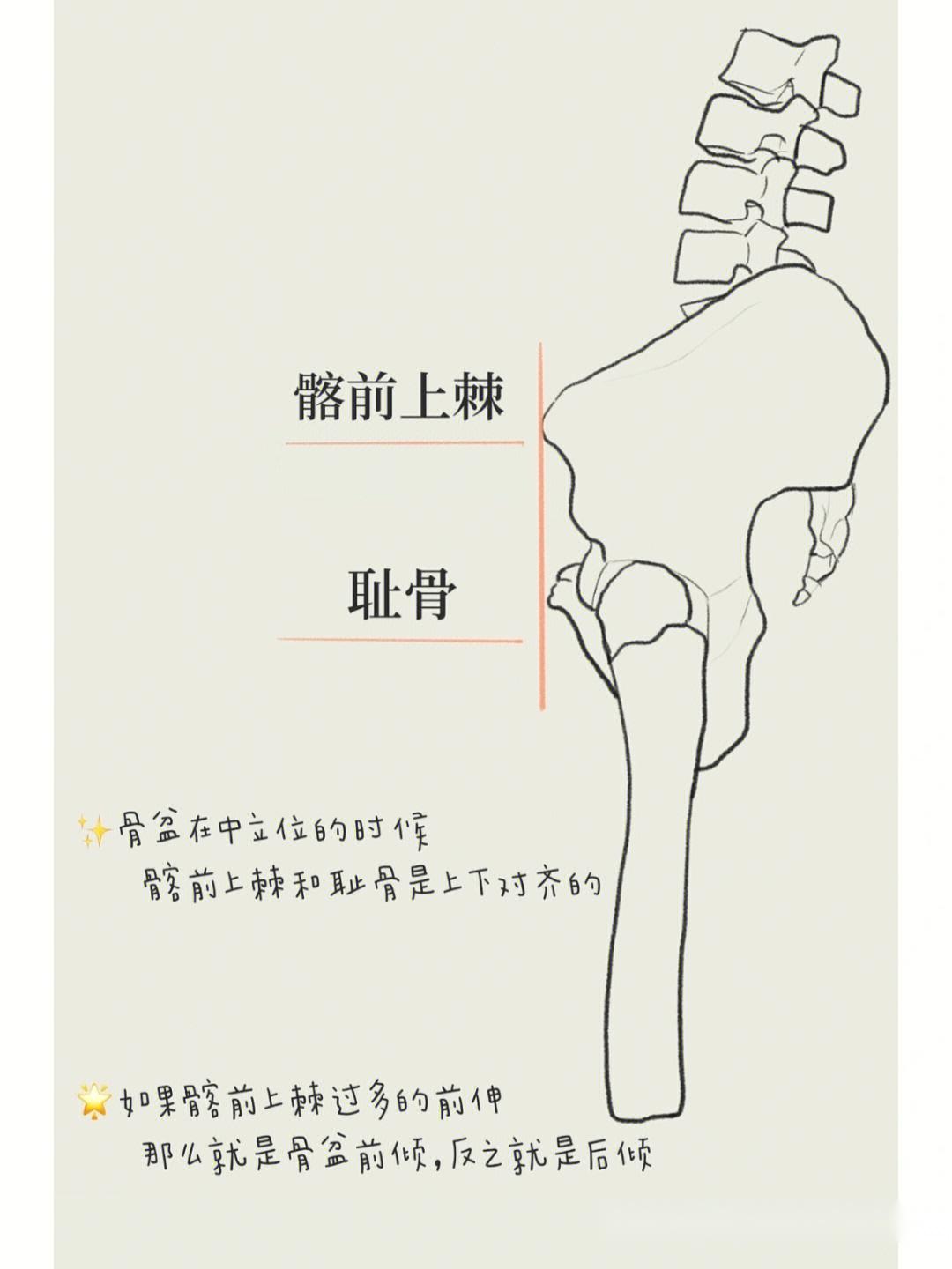 【运动解剖】普拉提中常说的「中立位」是什么 - 知乎