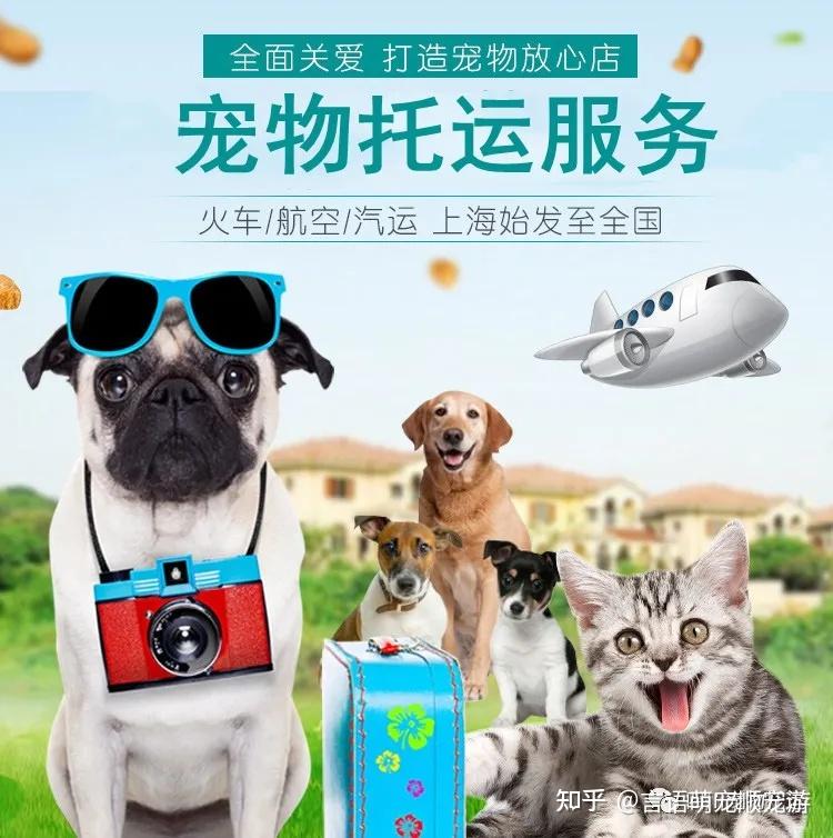 咸阳宠物托运到旺苍多少钱